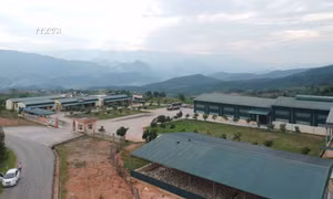 Nhà máy chế biến mủ cao su tại xã Nậm Tăm nằm gần khu dân cư, các khe suối, nguồn nước. Ảnh: TTXVN phát