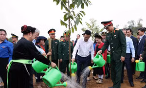 Chủ tịch nước Võ Văn Thưởng cùng các đại biểu tham gia trồng cây sau Lễ phát động. Ảnh: Vũ Sinh – TTXVN