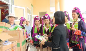 Phát giống ngô cao sản NK6275 cho nông dân vùng cao. Ảnh: TTXVN phát