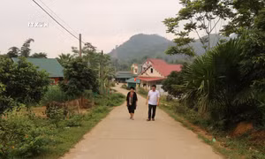 Tuyến đường bê tông từ thôn Cầu Cao đi thôn Nà Quang, xã Bạch Xa, huyện Hàm Yên, tỉnh Tuyên Quang giúp người dân di chuyển thuận lợi. Ảnh: Hoàng Hải - TTXVN