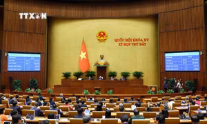 Thông cáo báo chí số 3, Kỳ họp thứ 7, Quốc hội khóa XV