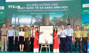 Các đại biểu ký cam kết bảo vệ Đa dạng sinh học. Ảnh: Công Tường-TTXVN