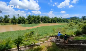 Vị trí dự kiến xây dựng đập điều hòa Sông Ba tại thị xã An Khê (Gia Lai). Ảnh: Hồng Điệp - TTXVN