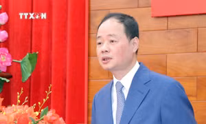 Thứ trưởng Bộ Khoa học và Công nghệ được điều động giữ chức Phó Bí thư Tỉnh ủy Lâm Đồng