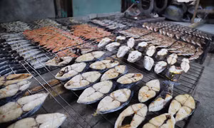 Các loại cá biển sau khi nướng chín sẽ được để ra một khu vực riêng, chờ cá nguội. Ảnh: Xuân Tiến - TTXVN