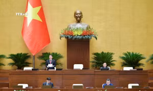 Kỳ họp thứ 8, Quốc hội khóa XV: Thảo luận về dự thảo Luật Công chứng (sửa đổi)