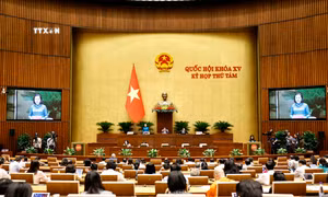 Thông cáo báo chí số 4, Kỳ họp thứ 8, Quốc hội khóa XV