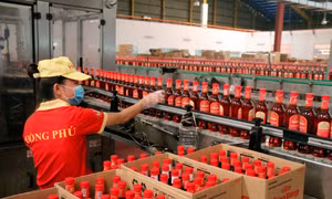 Tỉnh Bình Thuận hiện có nhiều thương hiệu nước mắm Phan Thiết đạt chứng nhận OCOP 4 sao. Ảnh: Nguyễn Thành