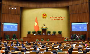 Thông cáo báo chí số 3, Kỳ họp thứ 7, Quốc hội khóa XV