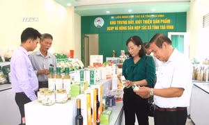 Các đại biểu tham quan tìm hiểu các sản phẩm OCOP và nông sản. Ảnh: Thanh Hòa - TTXVN