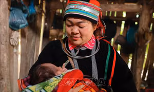 Cô đỡ thôn bản miệt mài cống hiến sức trẻ trên Cao nguyên đá