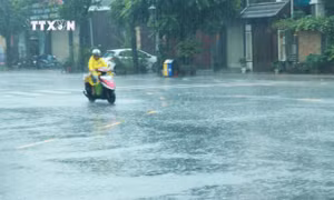 Mưa lớn ở thành phố Đông Hà (Quảng Trị) vào sáng 19/9/2024 do ảnh hưởng của bão số 4. Ảnh: Nguyên Lý-TTXVN