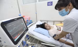 Đối với các trường hợ bệnh nhân sốt xuất huyết nặng, điều dưỡng phải thường xuyên theo dõi huyết áp, nhịp tim và nhiệt độ theo giờ. Ảnh: Minh Quyết - TTXN