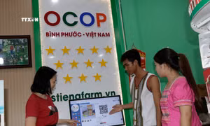 Khách hàng lựa chọn sản phẩm qua mạng điện tử. Ảnh: K GỬIH - TTXVN