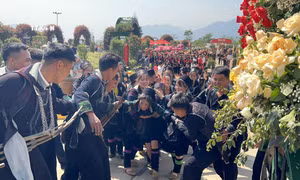 Tái hiện lễ cưới của các dân tộc ở thị xã Sa Pa tại lLễ hội Hoa hồng Fansipan năm 2024 với chủ đề “Triệu đóa hồng tình yêu Fansipan. Ảnh: Quốc Khánh - TTXVN