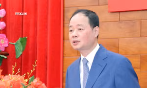 Thứ trưởng Bộ Khoa học và Công nghệ được điều động giữ chức Phó Bí thư Tỉnh ủy Lâm Đồng