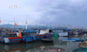 Khu neo đậu tránh trú bão cho tàu cá An Hòa đang được nâng cấp mở rộng. Ảnh: Đoàn Hữu Trung - TTXVN