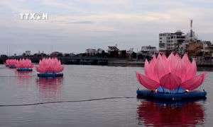 Bình Thuận thắp sáng 7 đóa hoa sen trên sông Cà Ty