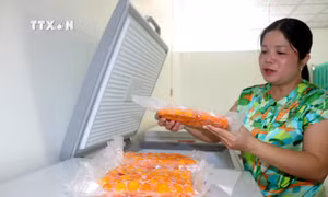 Lê Thị Thanh Tuyền khởi nghiệp với nghề làm trứng muối mang hương vị riêng