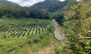 Kon Tum: Nhiều sai phạm ở thủy điện nhỏ
