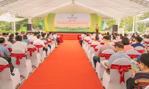 Ngày 24/8, Sở Nông nghiệp và Phát triển nông thôn Hà Nội tổ chức hội thảo "Thực trạng, giải pháp phát triển liên kết từ sản xuất đến tiêu thụ sản phẩm nông nghiệp theo chuỗi trên địa bàn thành phố Hà Nội".