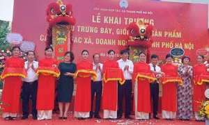 Các đại biểu cắt băng khai mạc Khu trưng bày, giới thiệu sản phẩm các hợp tác xã, doanh nghiệp Hà Nội.