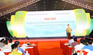 Quang cảnh buổi lễ khai mạc Hội chợ giống, vật tư thiết bị nông nghiệp, nông sản an toàn, sản phẩm OCOP, sản phẩm làng nghề trên địa bàn thành phố Hà Nội năm 2022.
