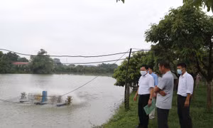 Phó Giám đốc Sở Nông nghiệp và Phát triển nông thôn Hà Nội Tạ Văn Tường (ngoài cùng bên trái) cùng Đoàn công tác của Trung tâm Khuyến nông Hà Nội đi thực tế cơ sở tìm hiểu các mô hình khuyến nông đem lại hiệu quả kinh tế cao tại xã Liên Châu, huyện Thanh 