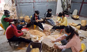 Làng nghề truyền thống mây tre đan Phú Vinh thuộc xã Phú Nghĩa, huyện Chương Mỹ (Hà Nội) có lịch sử gần 400 năm. Làng nằm dọc theo trục quốc lộ 6A nối liền Hà Nội với các tỉnh miền núi phía Bắc, cách trung tâm Hà Nội 27km theo hướng Tây Nam. Phú Vinh hiện