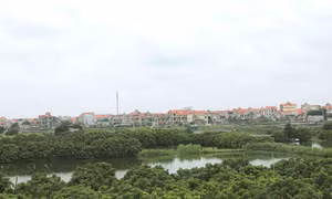 Diện mạo nông thôn xanh - sạch - đẹp ở huyện Thường Tín (Hà Nội).