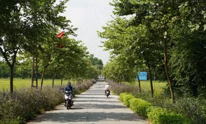 Những cung đường nông thôn sạch đẹp nhờ một phần đóng góp của phụ nữ Thủ đô.