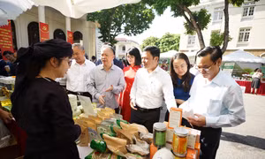 Hà Nội tổ chức tổng kết chương trình phối hợp phát triển chuỗi cung cấp rau, thịt an toàn giai đoạn 2015 - 2020
