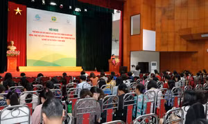 Hà Nội phổ biến các quy định về sản xuất, kinh doanh an toàn thực phẩm trong khuôn khổ FTA