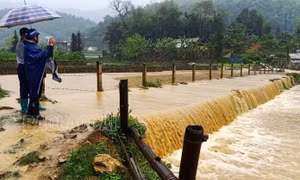 Mưa lũ gây thiệt hại trên địa bàn tỉnh Lào Cai