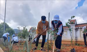 Tạo cảnh quan môi trường xanh - sạch - đẹp tại vùng cao Tu Mơ Rông