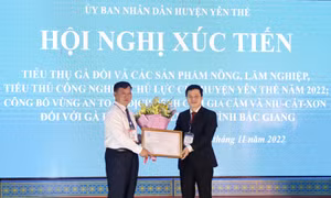 Xúc tiến tiêu thụ gà đồi Yên Thế