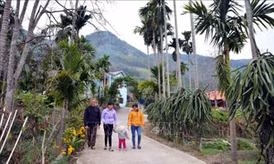 Tạo sự chuyển biến mạnh mẽ trong lĩnh vực nông nghiệp, nông dân, nông thôn