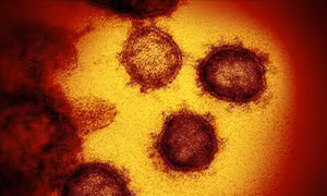 Giới khoa học theo dõi biến thể mới XE của virus SARS-CoV-2