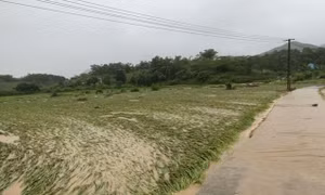 Mưa lũ gây nhiều thiệt hại tại Lào Cai