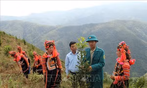 Giảm nghèo ở vùng “lõi” huyện biên giới Mường Tè