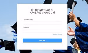 Không cập nhật văn bằng, chứng chỉ giáo dục nghề nghiệp trên Trang Thông tin tra cứu sẽ bị đình chỉ hoạt động 