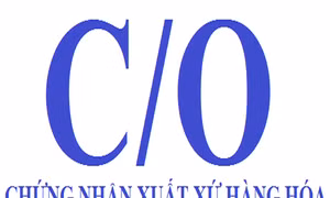 Bộ Công Thương quy định thời điểm dừng cấp C/O mẫu cũ