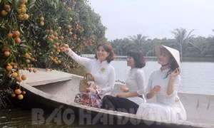 Thanh Hà cần gắn dịch vụ du lịch sinh thái với thương hiệu vải thiều