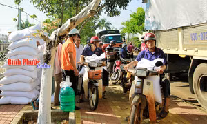 Phân bổ gạo cho học sinh ở xã đặc biệt khó khăn của Bình Phước