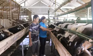 Vốn rẻ tiếp sức nông nghiệp, nông thôn