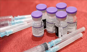 Mũi vaccine tăng cường có thể bảo vệ thanh niên trước biến thể Omicron