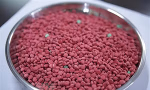 Quảng Trị: Phát hiện vụ vận chuyển 6.000 viên ma túy tổng hợp