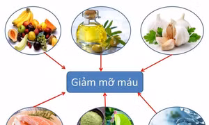 Thay đổi chế độ dinh dưỡng để ngăn ngừa cholesterol máu cao