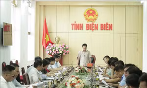 Bàn giải pháp gỡ khó cho các dự án trồng mắc ca ở Điện Biên