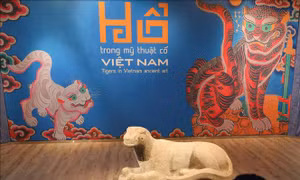 Giới thiệu hình tượng hổ trải dài trên 2.000 năm trong mỹ thuật Việt Nam